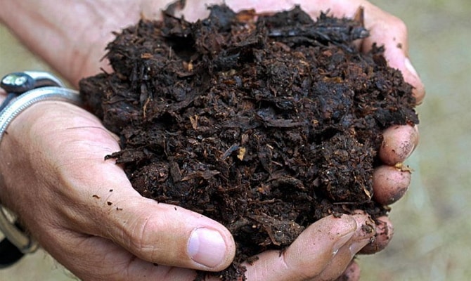 fertilizantes organicos