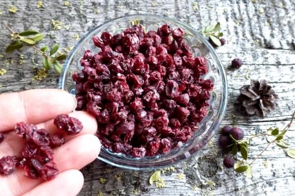 αποξηραμένο lingonberry