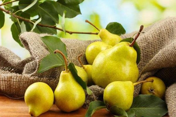 geerntete Ernte