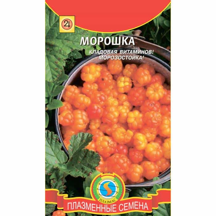 расте облак