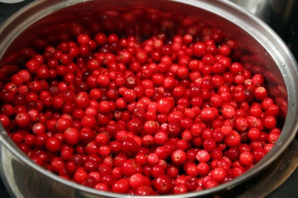 πλυμένο lingonberry