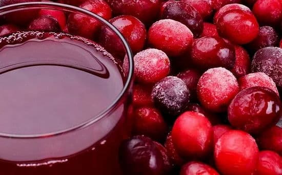 Beneficios y daños del arándano rojo