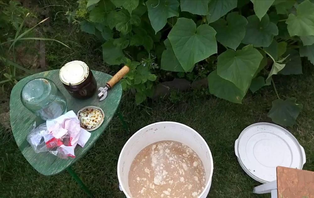hnojivo na kvety