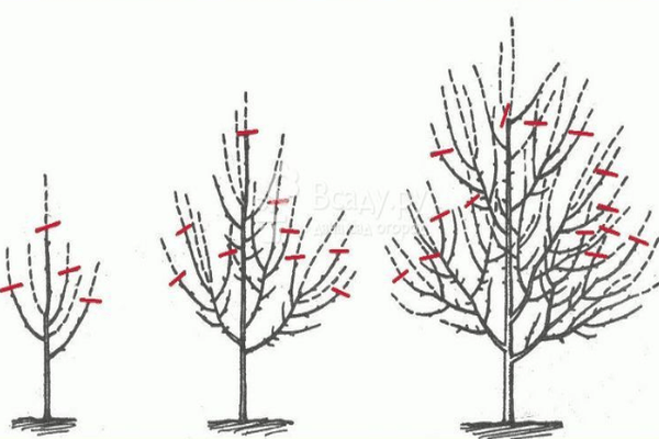 Landing scheme