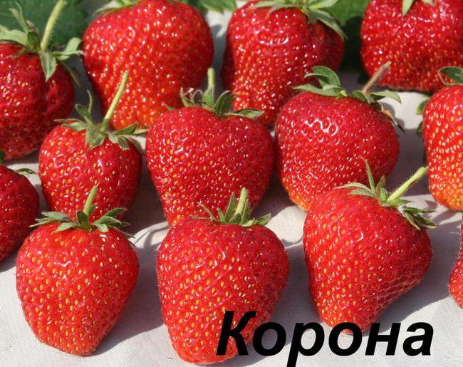зрела јагода