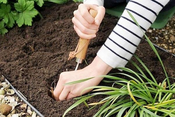 land cultivation