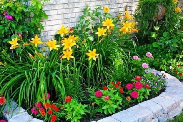 flowerbed against the wall
