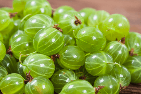 Die Vorteile von Stachelbeeren