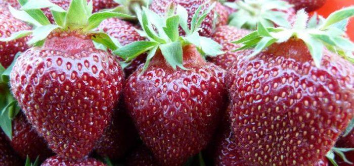 prince noir fraise