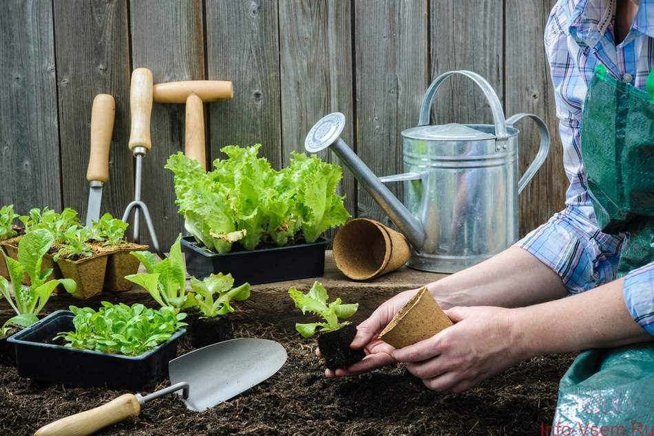 Gartenarbeit