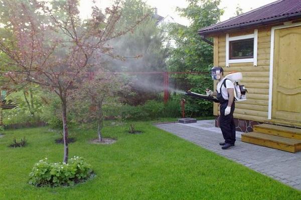 spray fertilizer