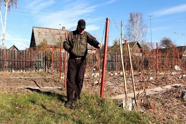 подвезица треллис