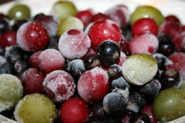 freezing fruits