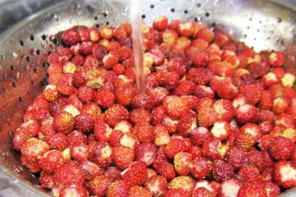 Beeren waschen