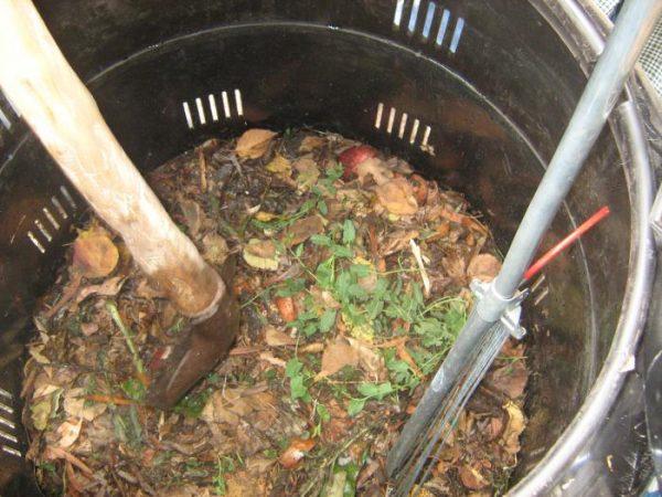infusion of potato peel