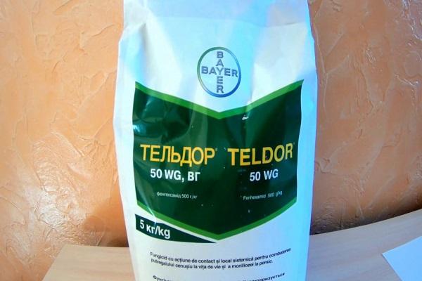 Medizin Teldor