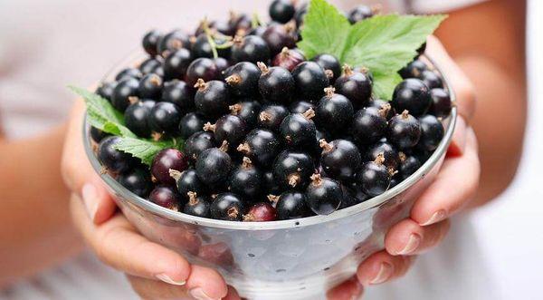 Bowl with berries