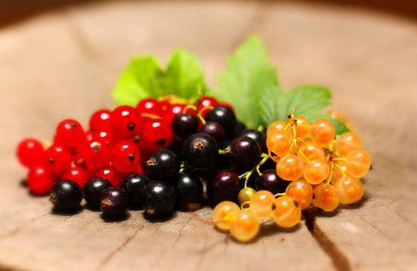 Different berries