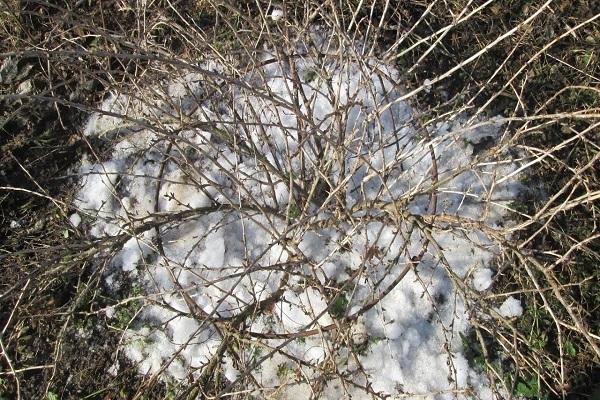 neve no chão