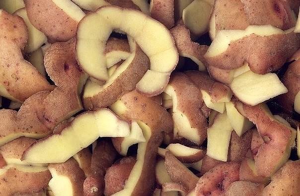 potato peelings