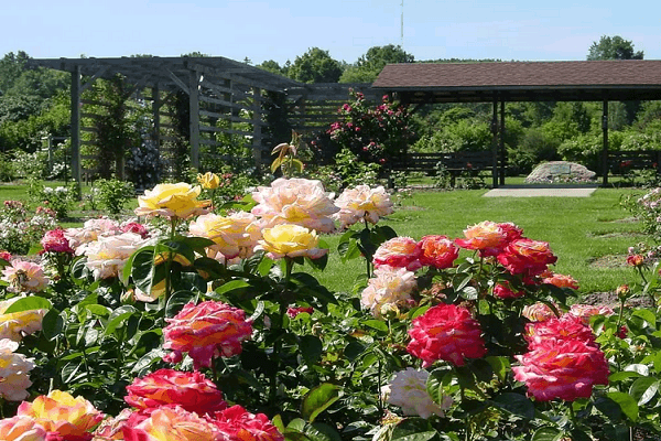 garden charms