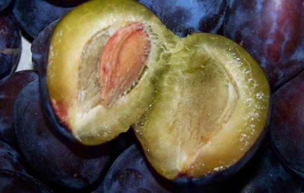 Split plum