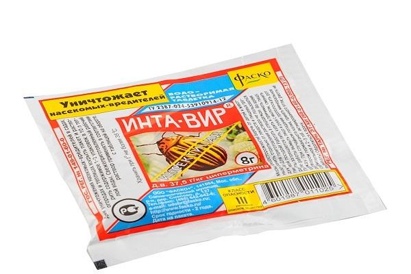intavira από αφίδες