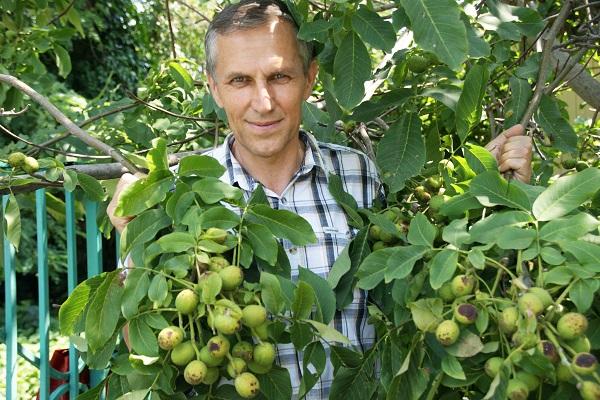 човек на дрвету