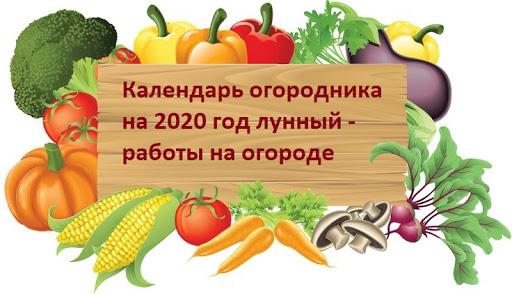 много зеленчуци