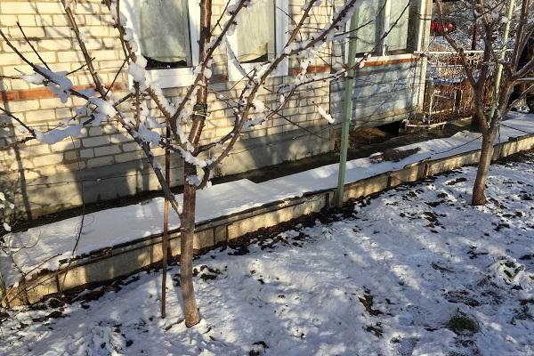 зимовање код куће