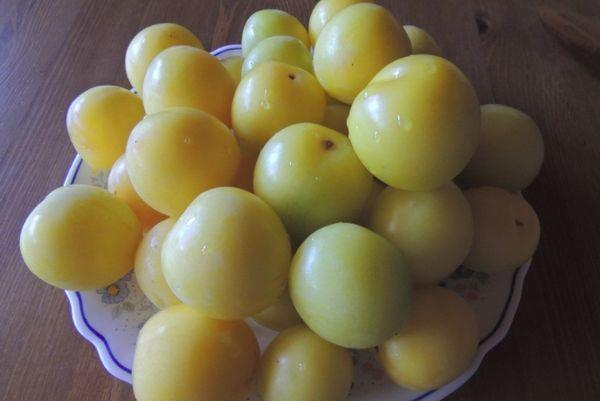pruna de cirera en un plat