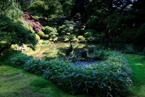 Garten Mondlicht