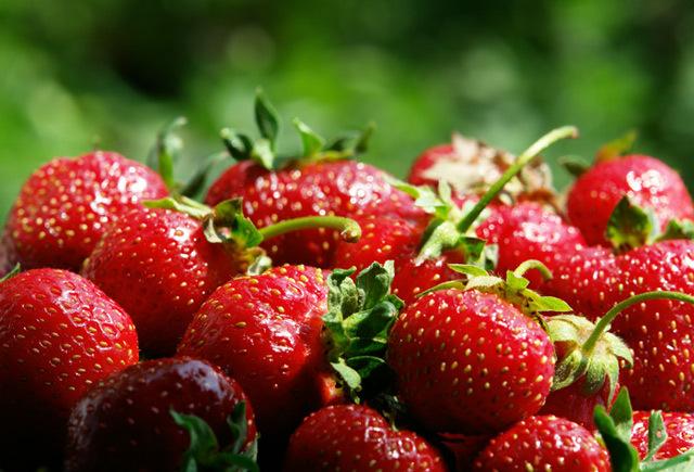 juicy strawberries