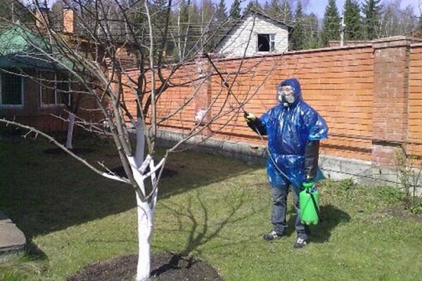пролећна обрада