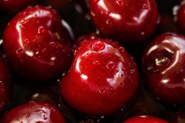 متنوعة الكرز