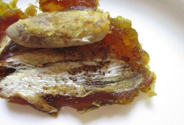 Date mit Würmern