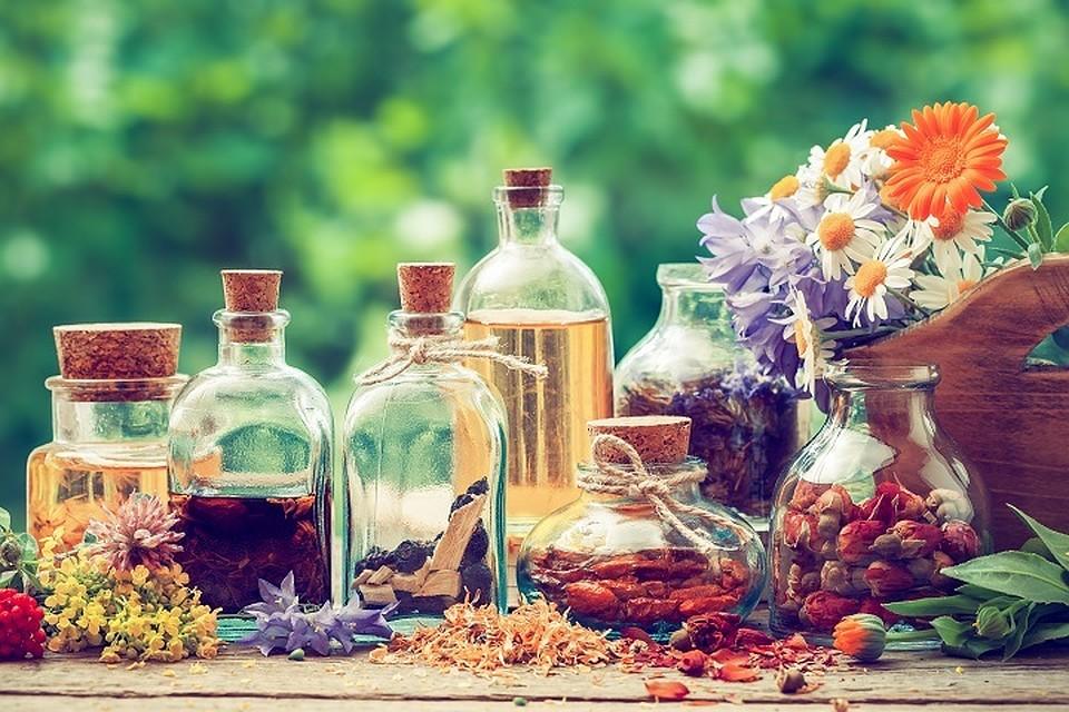 hierbas medicinales ungüentos tinturas