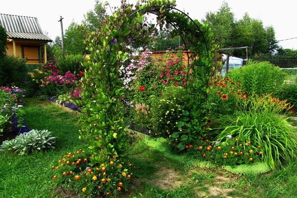 Blumenbogen