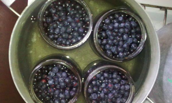 Enlatar suco