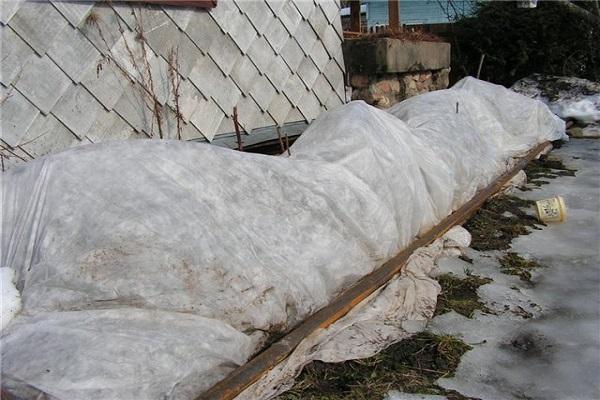 υψηλής ποιότητας ταινία