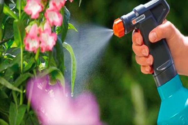 spraying a flower
