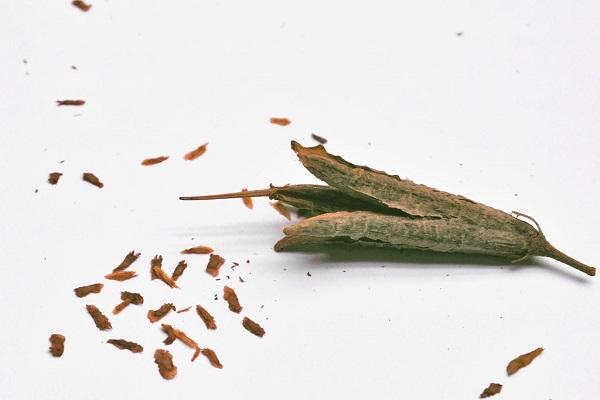 plantemateriale