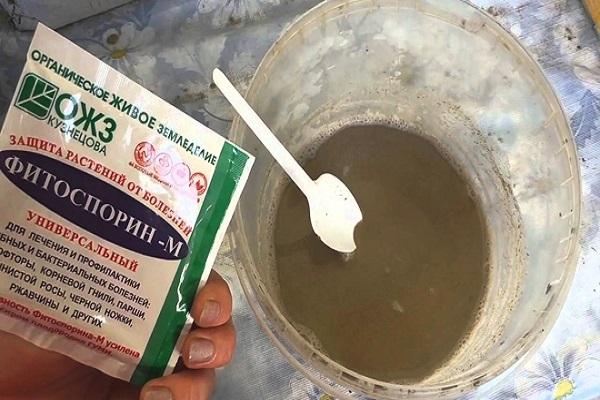 fer una solució