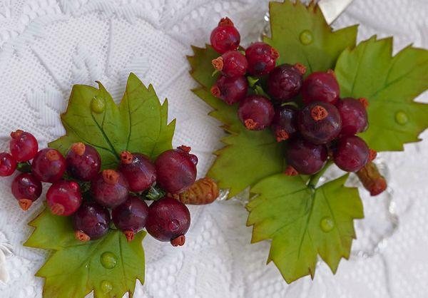 rote Johannisbeere