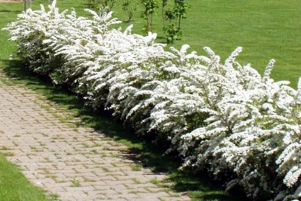 diseño de jardines