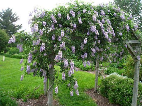Baum mit Blumen