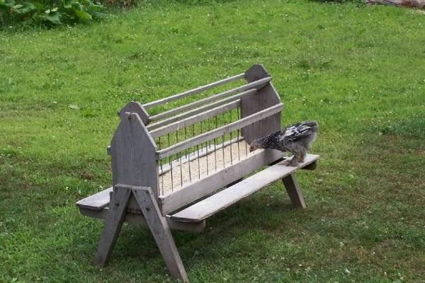 kŕmidlo pre vtáčiky