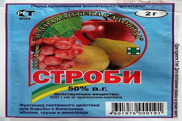 fongicide Strobi