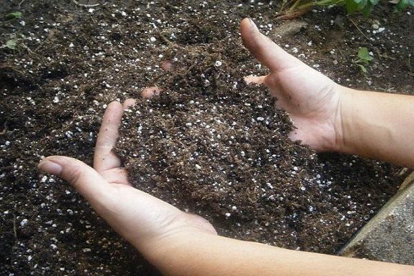soil composition