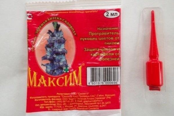 πακέτο Maxim